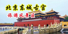 啊啊啊鸡巴好大快插我啊啊啊视频中国北京-东城古宫旅游风景区